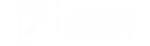 Best iptv playlist